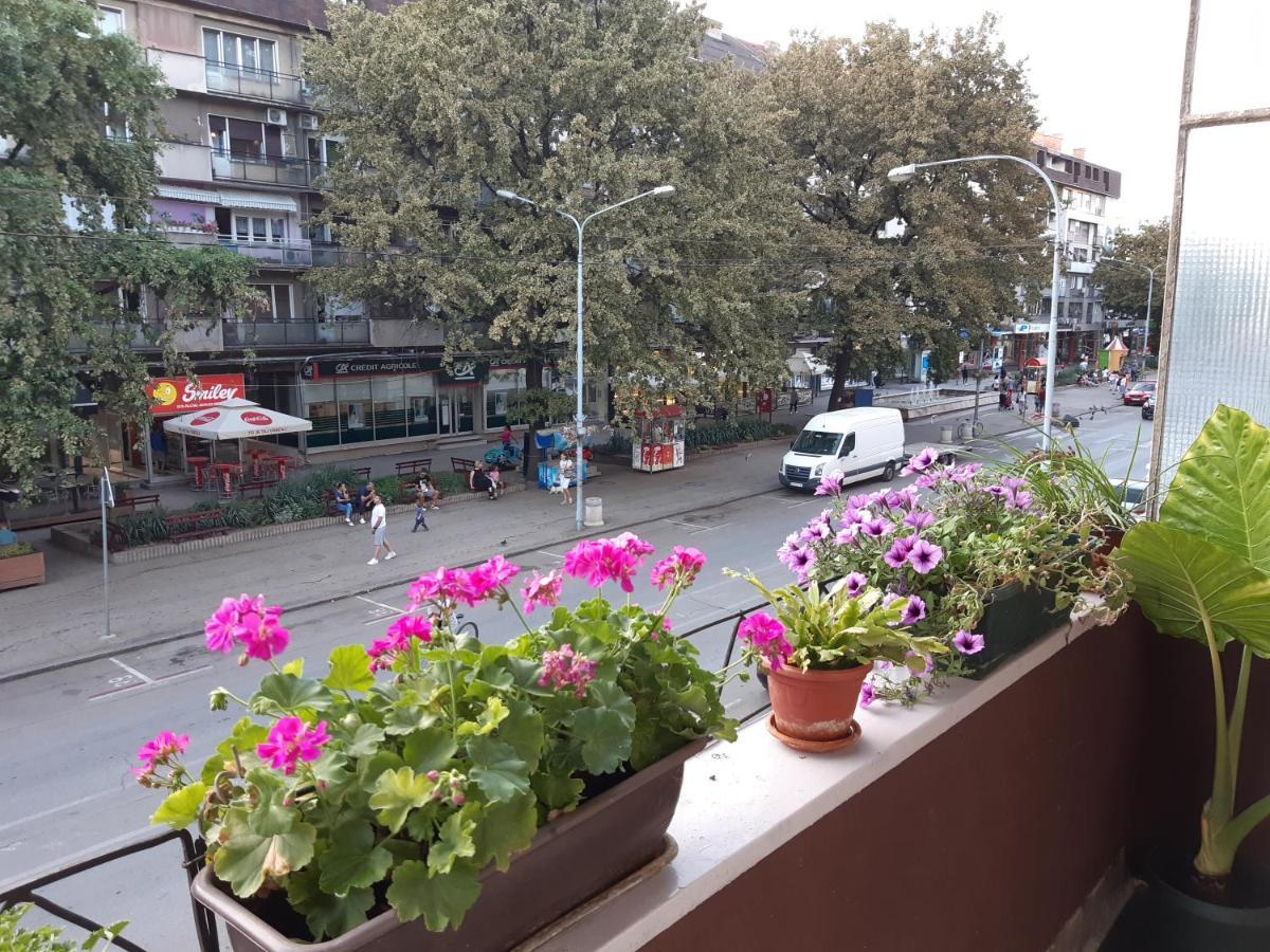 Appartamento Apartman Nada Požarevac Esterno foto